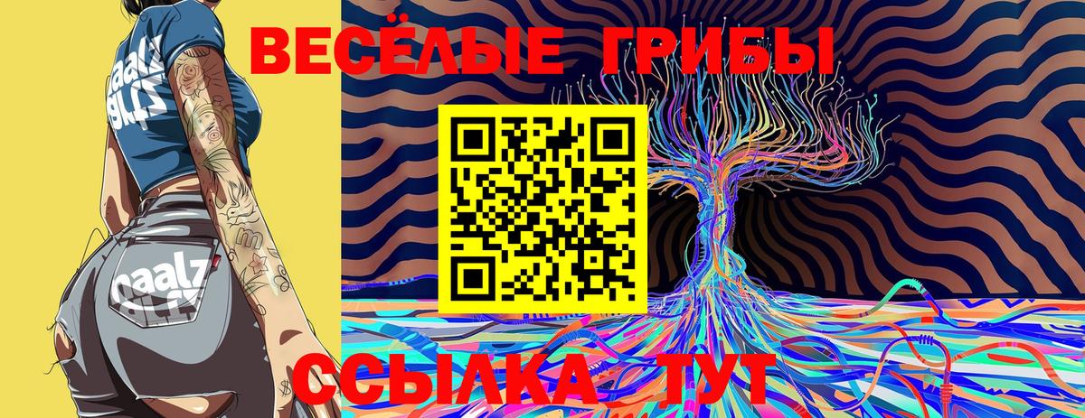 Псилоцибиновые грибы мухоморы Касимов