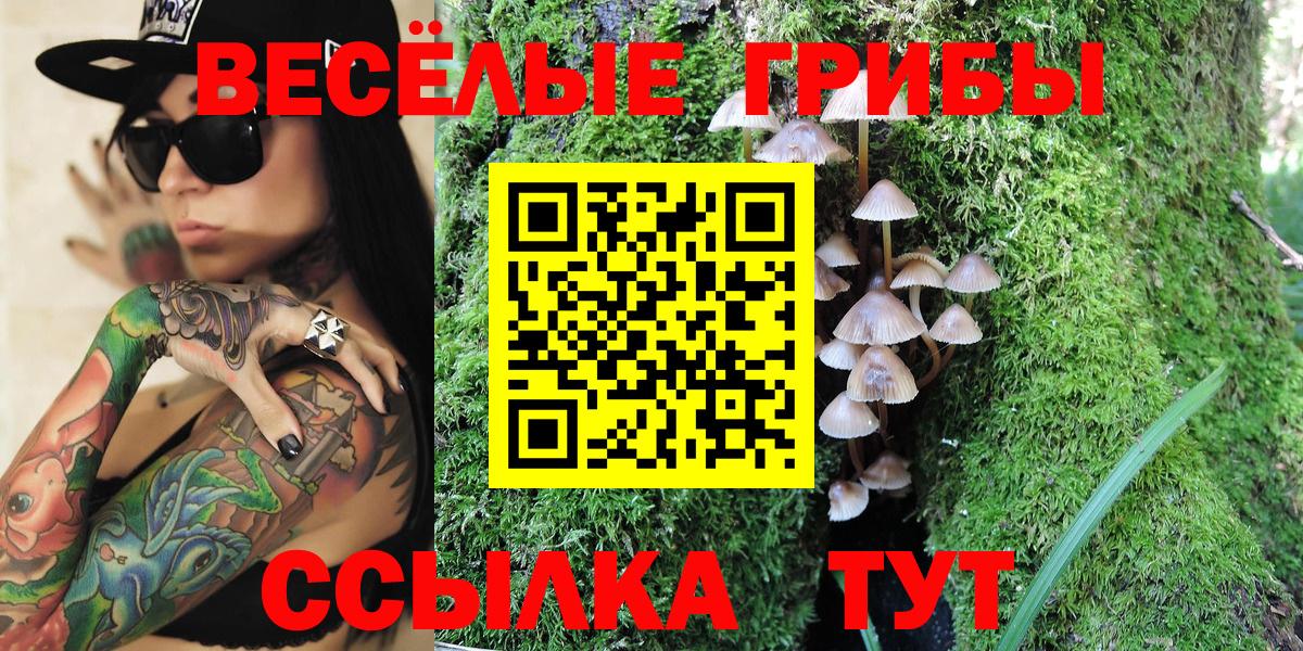 Касимов  Галлюциногенные грибы Magic Shrooms  Вход с VPN 